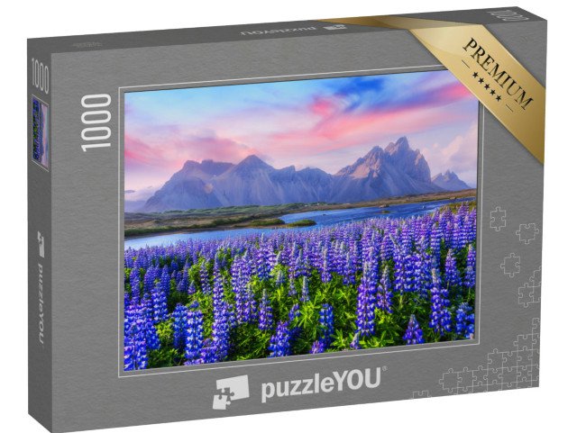 puzzle 1000 dílků „Lupinové louky u pohoří Stokksnes, Island“