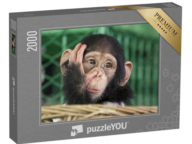 puzzle 2000 dílků „Malý šimpanz“