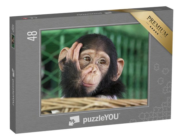 puzzle 48 dílků „Malý šimpanz“