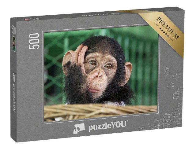 puzzle 500 dílků „Malý šimpanz“