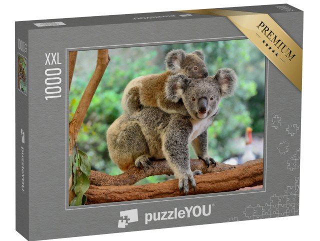 puzzle 1000 dílků XXL „Matka koala s mládětem na zádech na eukalyptovém stromě“