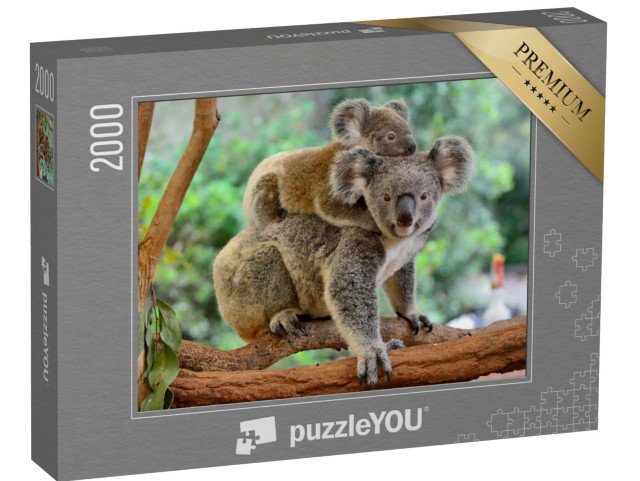 puzzle 2000 dílků „Matka koala s mládětem na zádech na eukalyptovém stromě“
