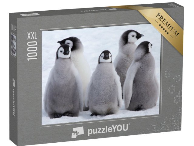 puzzle 1000 dílků XXL „Mláďata tučňáka císařského v Antarktidě“