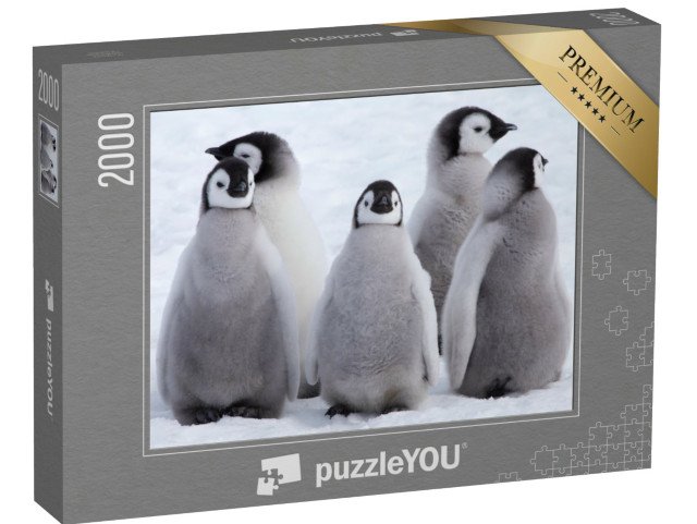 puzzle 2000 dílků „Mláďata tučňáka císařského v Antarktidě“