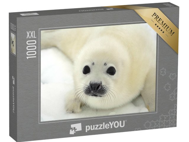 puzzle 1000 dílků XXL „Mládě tuleně harfového na ledové kře“