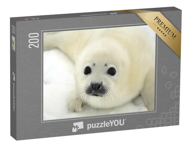 puzzle 200 dílků „Mládě tuleně harfového na ledové kře“