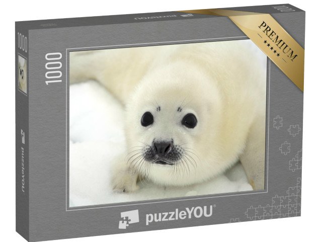 puzzle 1000 dílků „Mládě tuleně harfového na ledové kře“