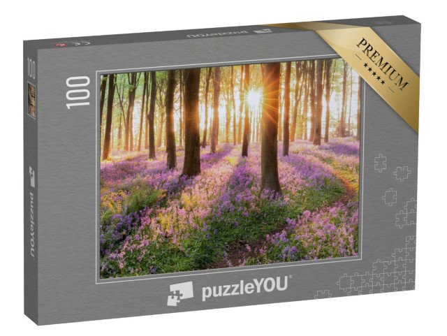 puzzle 100 dílků „Moře modrých zvonků po ránu v lese“