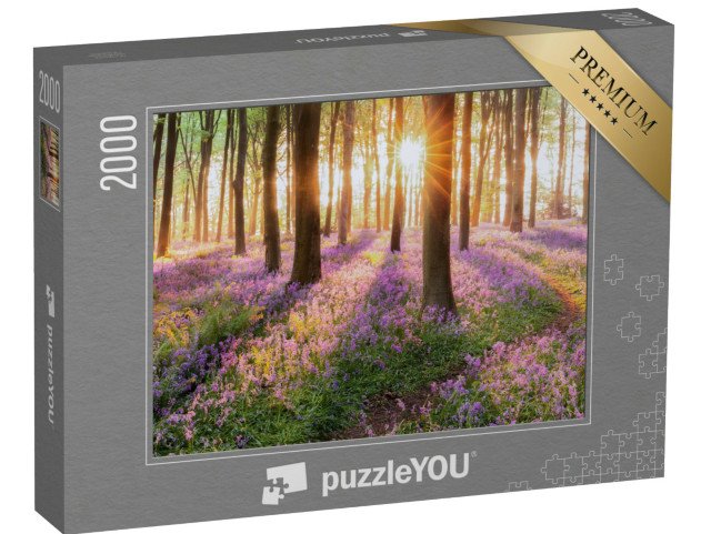 puzzle 2000 dílků „Moře modrých zvonků po ránu v lese“