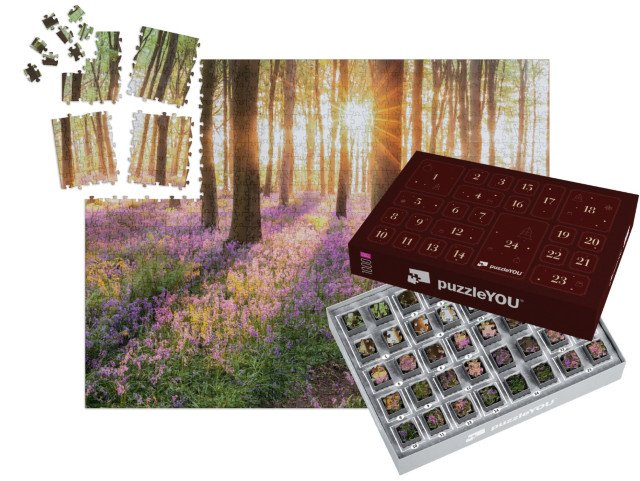 Adventní kalendář „Moře modrých zvonků po ránu v lese“
