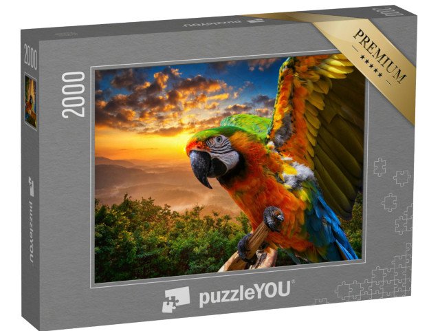 puzzle 2000 dílků „Nádherné barvy přírody, makak při západu slunce“