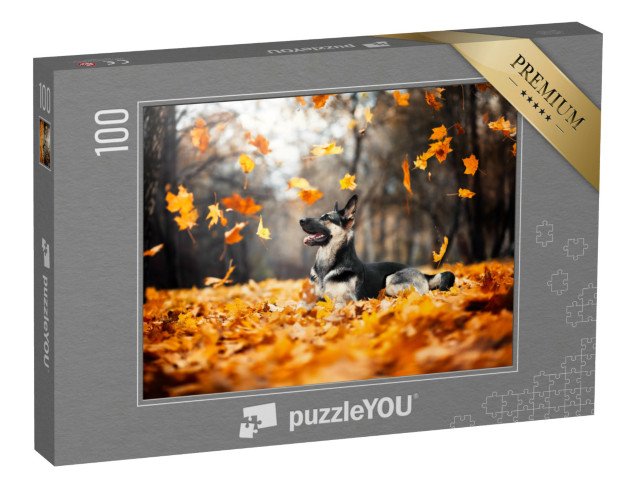 puzzle 100 dílků „Pastýřský pes ve víru podzimního listí“