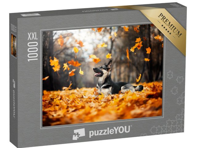 puzzle 1000 dílků XXL „Pastýřský pes ve víru podzimního listí“