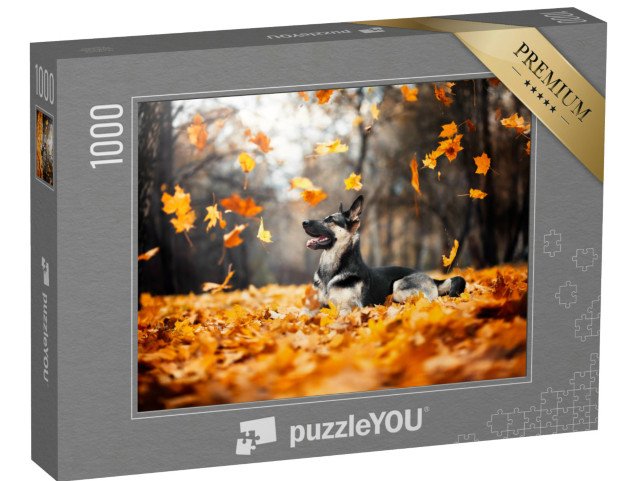 puzzle 1000 dílků „Pastýřský pes ve víru podzimního listí“