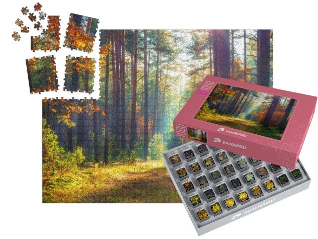 SMART SORTED® | Puzzle 1000 dílků „Podzimní přírodní krajina“