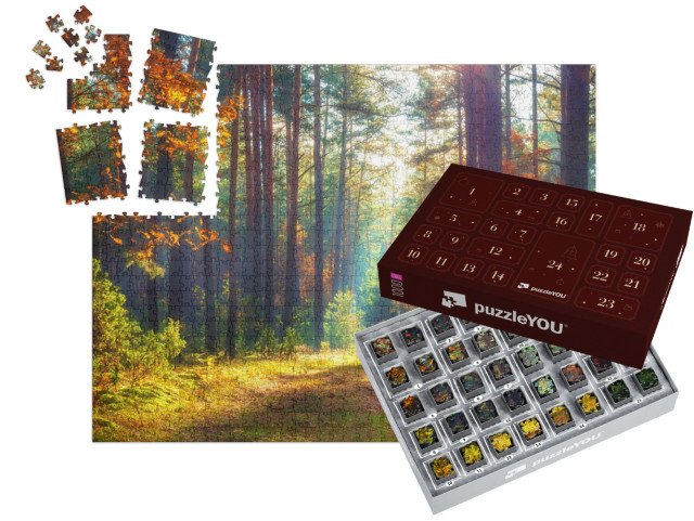 Adventní kalendář „Podzimní přírodní krajina“