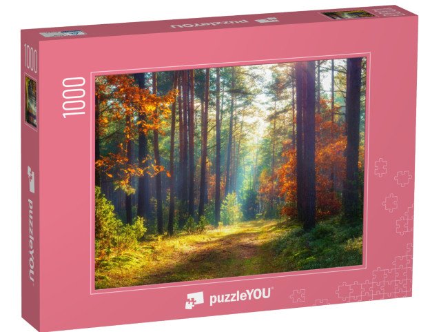 puzzle „Podzimní přírodní krajina“