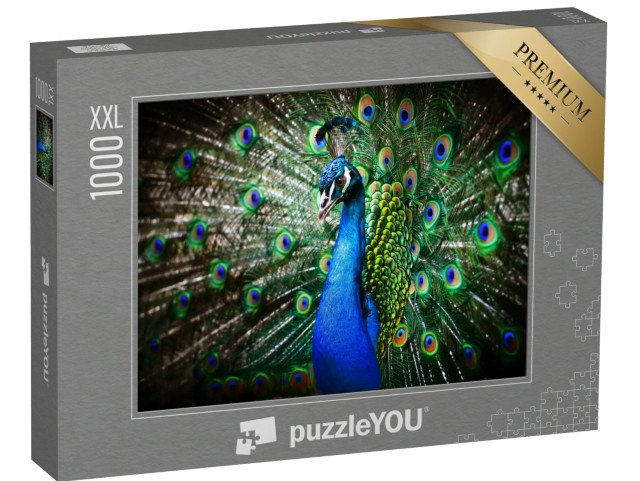 puzzle 1000 dílků XXL „Portrét krásného páva s otevřeným kolem“