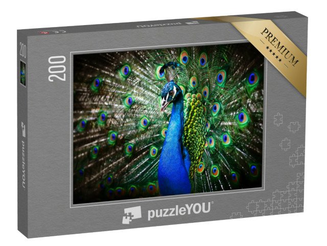 puzzle 200 dílků „Portrét krásného páva s otevřeným kolem“