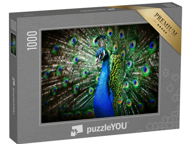 puzzle 1000 dílků „Portrét krásného páva s otevřeným kolem“