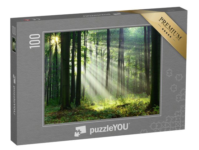 puzzle 100 dílků „Ráno v lese s prvními slunečními paprsky“