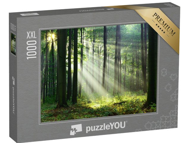puzzle 1000 dílků XXL „Ráno v lese s prvními slunečními paprsky“