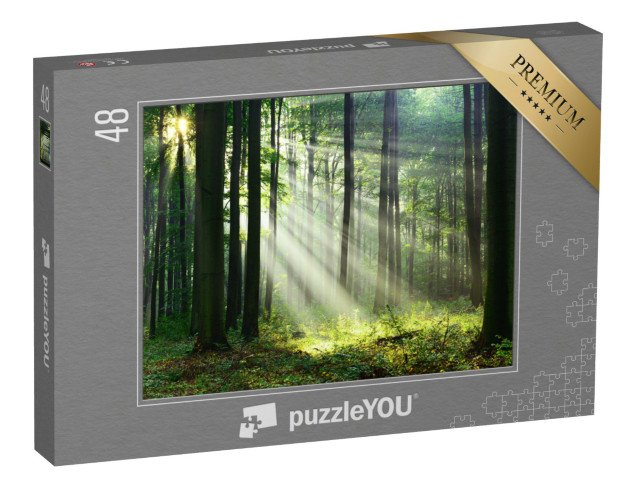 puzzle 48 dílků „Ráno v lese s prvními slunečními paprsky“