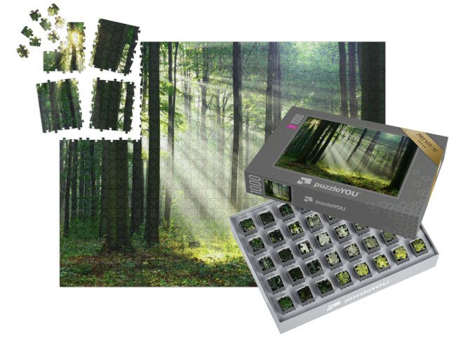 SMART SORTED® | Puzzle 1000 dílků „Ráno v lese s prvními slunečními paprsky“