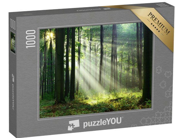 puzzle 1000 dílků „Ráno v lese s prvními slunečními paprsky“