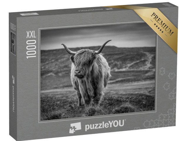 puzzle 1000 dílků XXL „Skotský náhorní skot, černobílý“