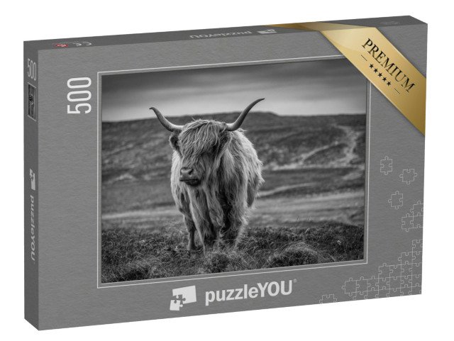puzzle 500 dílků „Skotský náhorní skot, černobílý“