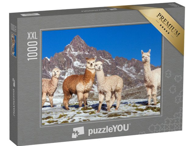 puzzle 1000 dílků XXL „Skupina lam na zasněžené pastvině, Andy, Peru“