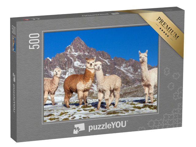 puzzle 500 dílků „Skupina lam na zasněžené pastvině, Andy, Peru“