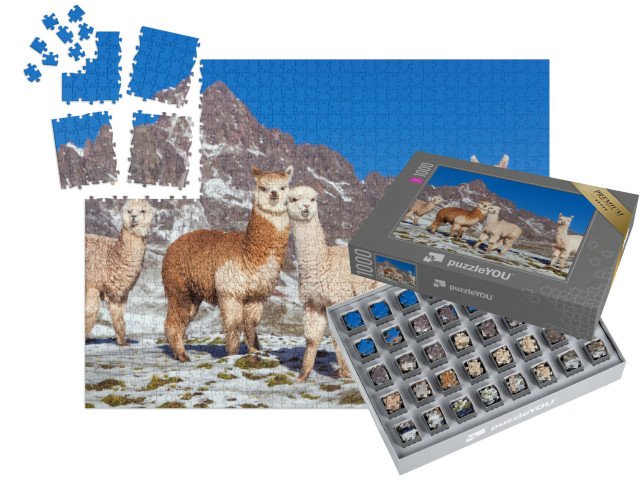 SMART SORTED® | Puzzle 1000 dílků „Skupina lam na zasněžené pastvině, Andy, Peru“