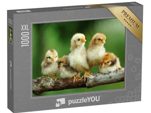 puzzle 1000 dílků XXL „Skupina malých mláďat na větvi“