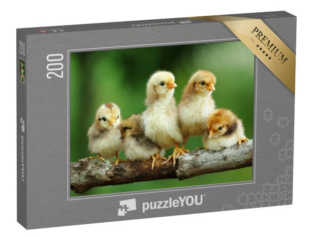 puzzle 200 dílků „Skupina malých mláďat na větvi“