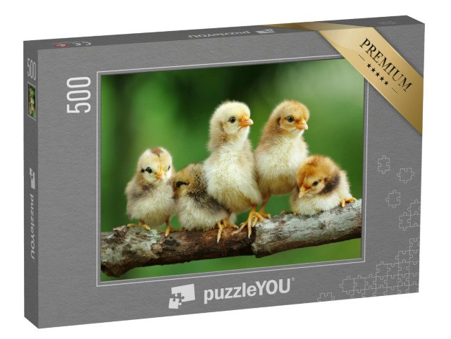 puzzle 500 dílků „Skupina malých mláďat na větvi“