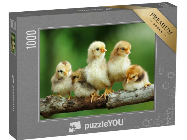 puzzle 1000 dílků „Skupina malých mláďat na větvi“