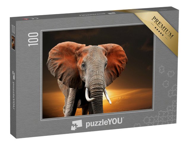 puzzle 100 dílků „Slon při západu slunce v keňském národním parku“