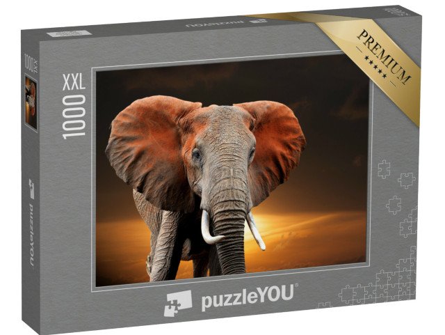 puzzle 1000 dílků XXL „Slon při západu slunce v keňském národním parku“