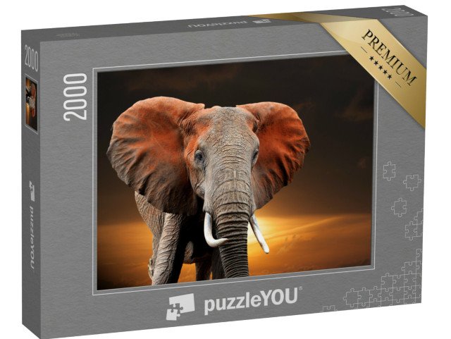 puzzle 2000 dílků „Slon při západu slunce v keňském národním parku“