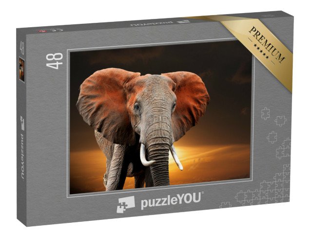puzzle 48 dílků „Slon při západu slunce v keňském národním parku“