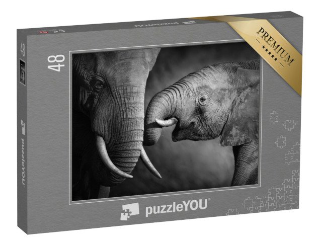 puzzle 48 dílků „Sloní mládě s matkou, černobílé“