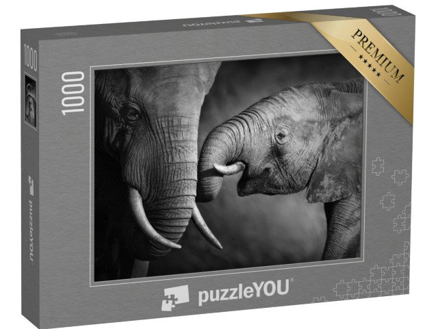 puzzle 1000 dílků „Sloní mládě s matkou, černobílé“