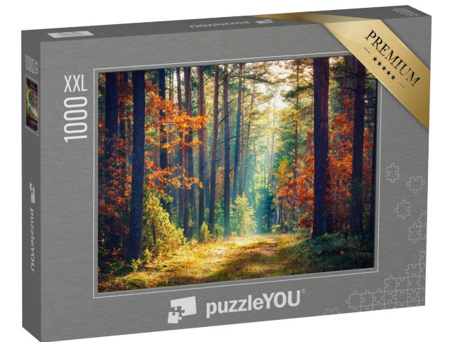 puzzle 1000 dílků XXL „Slunečný podzimní les“