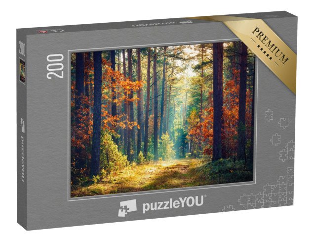 puzzle 200 dílků „Slunečný podzimní les“