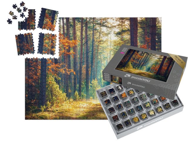 SMART SORTED® | Puzzle 1000 dílků „Slunečný podzimní les“