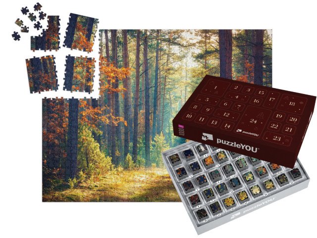 Adventní kalendář „Slunečný podzimní les“