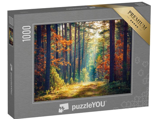 puzzle „Slunečný podzimní les“