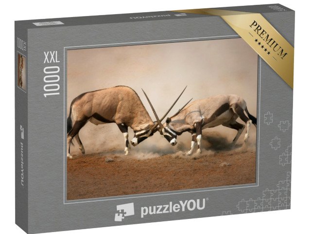 puzzle 1000 dílků XXL „Souboj dvou samců gemsboka“